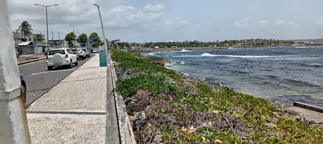 Wooden Kaz en Guadeloupe — photo du logement